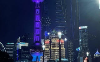 上海龙凤1314背后的都市隐秘文化：揭秘2025年的变迁与影响