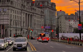 上海桑拿t台大选究竟有多火？